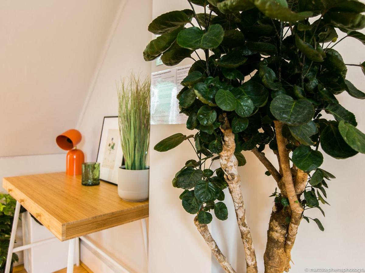Exquisite 3Bdr Botanical Oasis In Central Brighton Dış mekan fotoğraf